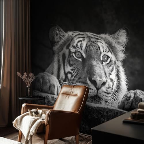 Transforma tu hogar con el diseño Tulup 152x104 cm 3
