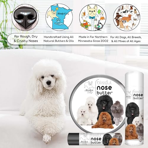 Image of The Blissful Dog Poodle Nose Butter, Versatile Dog Nose Balm for Dry Nose, Handcrafted Nose Moisturizer, Easy-to-Apply Dog Essentials, Unscented, 1 oz.