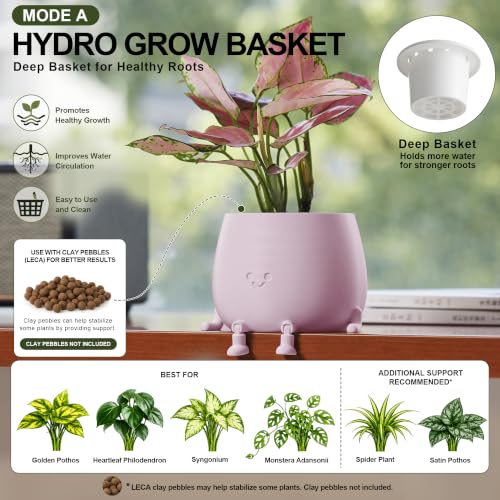 Image of TOPOLA 5.2 Inch Hydroponic Happy Face Planter with 3 Interchangeable Grow Baskets, Water Culture Pot for Pothos, Lucky Bamboo & Plant Propagation, Decorative Desktop Planter for Home & Office, Sakura