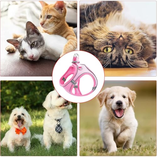 Hundegeschirr,Welpengeschirr Kleine Hunde,Hundegeschirr Welpen Kleine Hunde,Welpengeschirr,Brustgeschirr Hund,Welpen Geschirr Hund,Reflektierend (Rosa,XS)