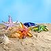 H&D HYALINE & DORA Amber Blown Glass Starfish Figurine Miniature Ocean Animals Collectible Figurine Tiny Glass Starfish for Tables, Desks Home Decor