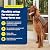 PetSafe 1-Piece Sliding Glass Pet Door for Dogs & Cats - Adjustable Height 75 7/8" to 81"- Large-Tall, White, No-Cut Install, Aluminum Patio Panel Insert, Great for Renters or Seasonal Installation