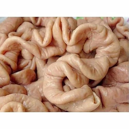 日本国産 ボイル 大肠 豚大腸 猪大腸 豚ホルモン 約500g 猪大肠 大腸 冷凍食品 中華食材 冷凍のみの発送 豚もつのサムネイル