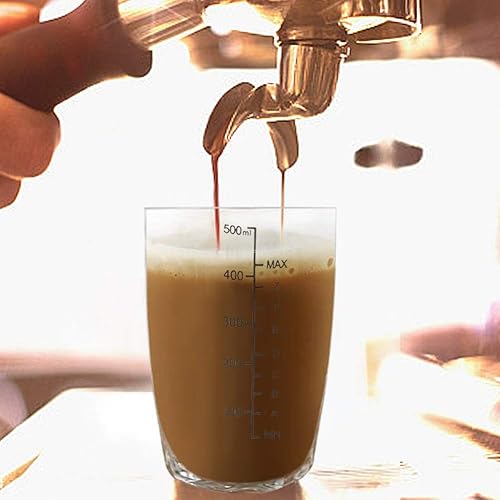 Coctelera transparente antifugas, coctelera de policarbonato transparente con escala, coctelera de bebidas, botella, herramienta de pub (16.9 fl oz)