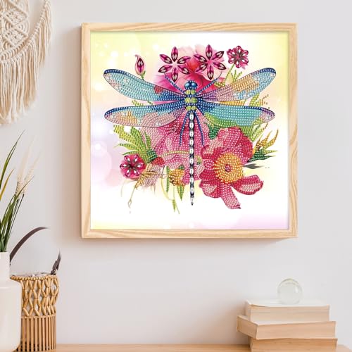 Image of AiYuanzsh 5D Special Shape Diamond Art Kits for Adults, Dragonfly Diamond Painting Kits for Beginners, Crystal Rhinestones Diamond Art Kit for Home Wall Decoration Gift 12x12inch /30x30cm
