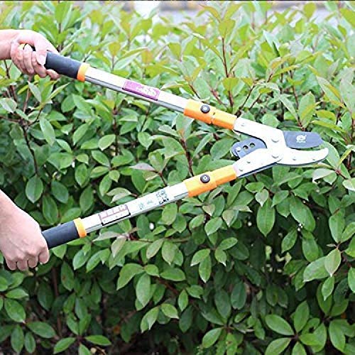 Tijeras de podar telescópicas para árboles de jardín, corte fácil para tijeras de podar de calidad para jardinería, tijeras de podar de trinquete resistentes, extensibles de 66 a 101 cm para toda