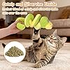 Retro Shaw Cat Toys, 11 in Realistic Catnip Snake Toy with Crinkle Sound Inside, Cat Nip Toys with SilverVine, Stuff Snake Interactive Snake Toy for Cats to Chew #4