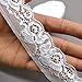 Lace Fabric 10 Yards/Pack Stretch Elastic Ribbon 35MM Wide Soft Trim Lace (White)