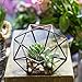NCYP Large Eight-Surface Diamond Shape Geometric Glass Terrarium Succulent Plant Flower Pot, No Plants Included