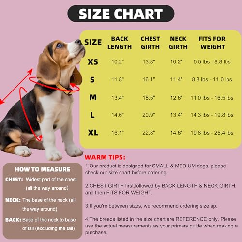 Image of Dog Surgery Recovery Suit Spay Recovery Onesie for Female Male Dogs