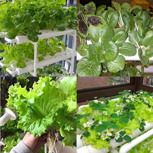 LAPOND Kit de sistema de cultivo hidropônico, 3 camadas, 108 locais de plantas, tubos PVC-U de grau