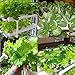 LAPOND Hydroponics Growing System Kit, 3 Layers 108 Plant Sites Food-Grade PVC-U Pipes Hydroponic Grow Kit Gardening System with Water Pump, Pump Timer,Net Pots and Sponge for Vegetables,Fruits,Herb