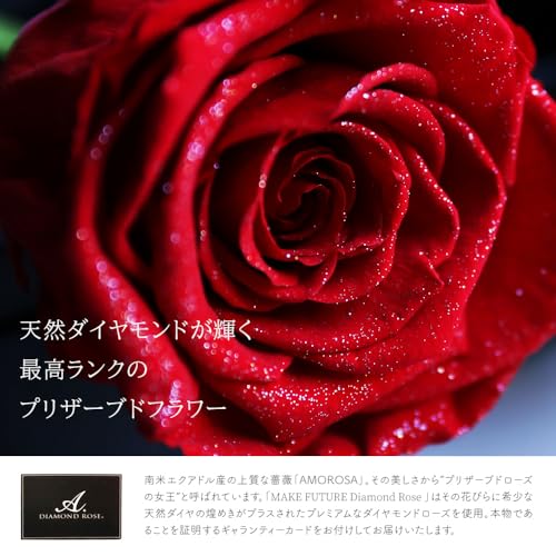 Makefuture Diamond Rose プリザーブドフラワー 花 バラ 化粧箱入り 1輪 (ブライトレッド, オプションなし) [3]