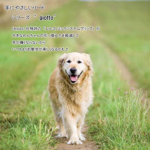 Ferplast Genuine Leather Dog Lead leather Leash with padded handle for dogs GIOTTO Length 120 cm Black, Large - Image 2