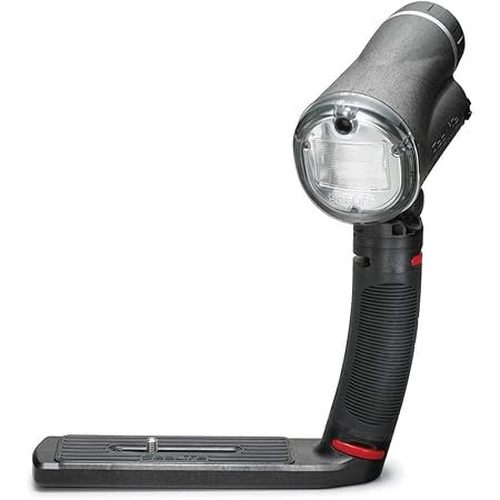 SeaLife Sea Dragon Flash, Black SL963