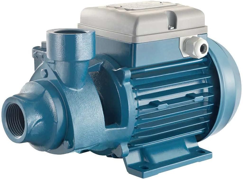 FORAS PE50F Peripheral Electric Pump