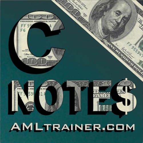 Couverture de Episode 5 From Cops To Compliance