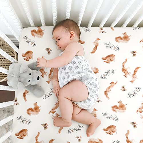 Stretch Ultra Soft Jersey Knit Fitted Crib Sheets Set 2 Pack，Fit All Standard Crib Mattress Pads Safe And Snug, Crib Fitted Sheet For Baby, Cute Jungle Squirrels And Animals #TOP2