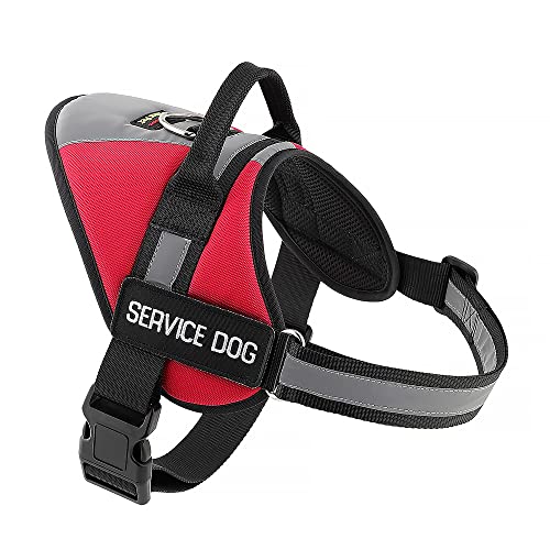 Top 10 Best Service Dog Vest Petco Reviews & Buying Guide Katynel