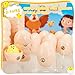 Chick Life Cycle Exploration Set, Chicken Life Cycle Learning Toy Animal Hatching Educational Toy with Chick Eggs for Classroom Home