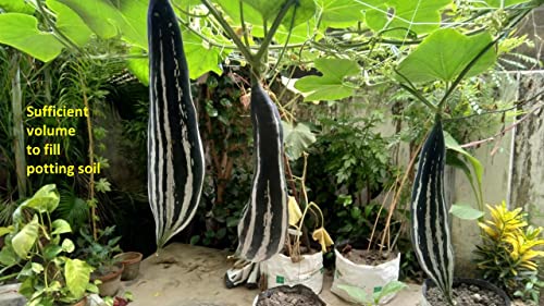 cocogarden UV Treated Poly Grow Bags 24 x 24 x 40 cms (White, Pack of 5)