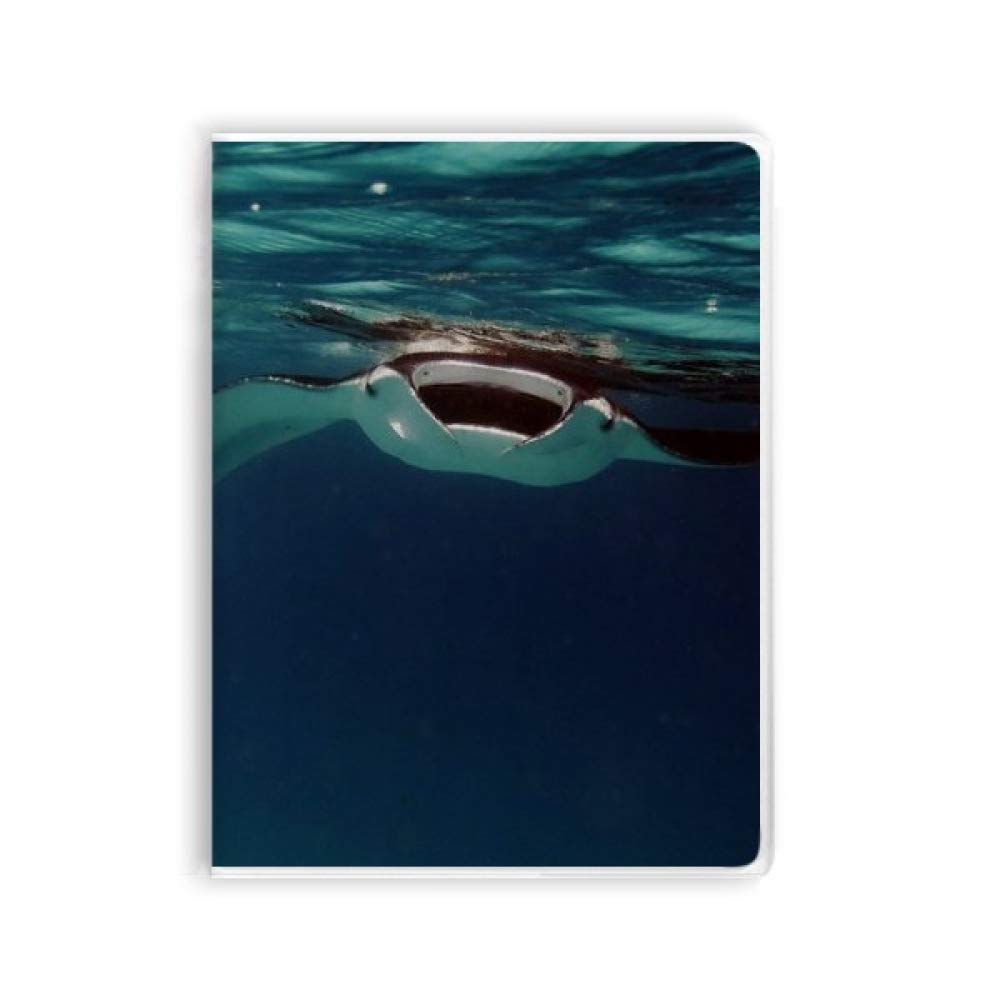 Carnet Ocean Ray Skate Science Nature en couverture gomme souple