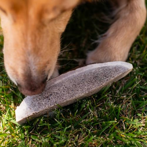 Small Premium Split Elk Antlers for Dogs - 4\'\'-5\'\' Inch Long Dog Chews (3 Pack) Naturally Shed Antler Bone for Small Breed Aggressive Chewers - Made In USA -Odorless- Promotes Dental Hygiene (3 Pack)