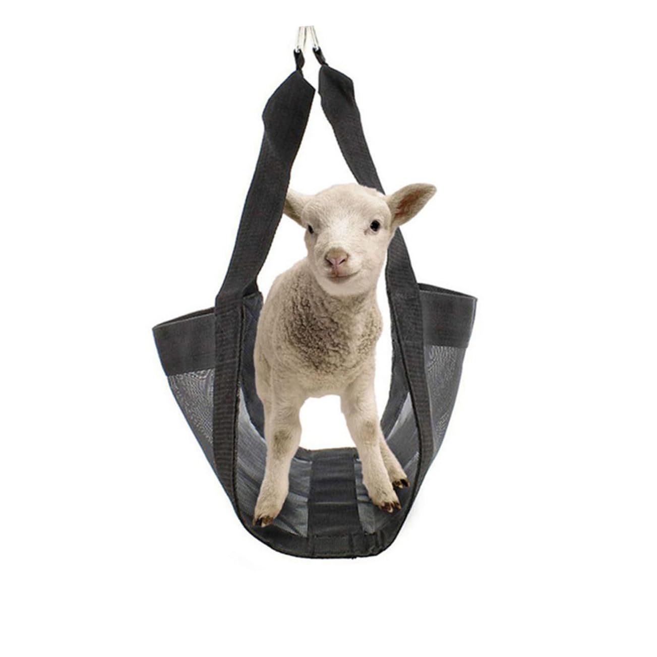 POPETPOP Wiegehängematte aus Nylon für Kleintiere mit Rutschfestem Design Verhindert Fallen und Beruhigt Haustiere Beim Wiegen im Landwirtschaftlichen Einsatz
