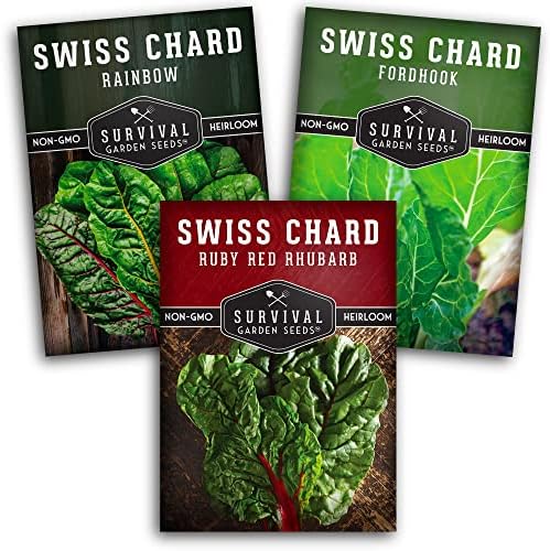 Amazon.com : Swiss Chard Seed Collection - 3 Packets Fordhook, Rainbow ...