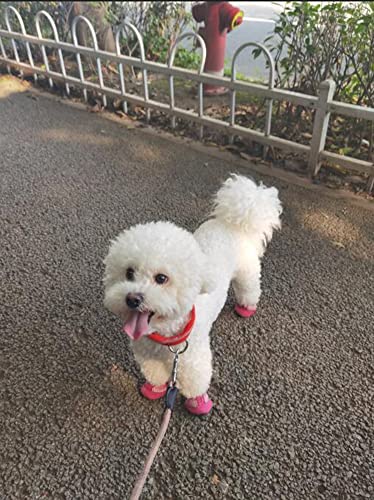 SMDARROY Dog Shoes Mesh Breathable Soft Sole Shoes for Dogs Bichon Teddy Pet Shoes Dog Boots (Pack of 8), 2 sets of pink shoes - Image 3