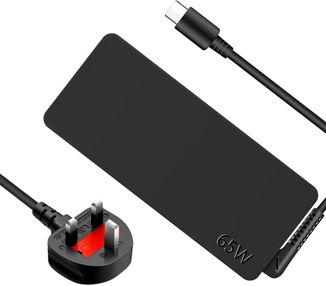 WHSTELENI 65W USB Type C Laptop Charger Power Adapter for Lenovo Thinkpad X1 Carbon(Gen5/6/7/8/9) T480 T490 T580 T590 E480 E580 E490 YOGA C730 C930 C940 S940 Dell Xps Hp Spectre ASUS Chromebook