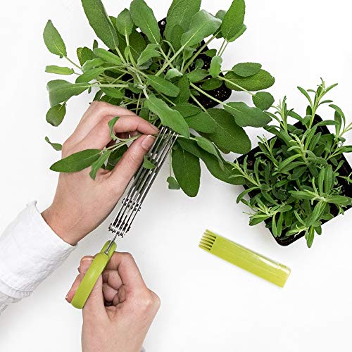 Herb Shears from Gardenuity, the perfect accessory for anyone who loves to cook with fresh herbs.