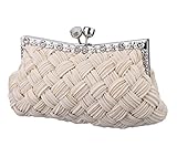 Charming Tailor Evening Bag Women Classic Clutch Woven Wedding Party Purse (Champagne)