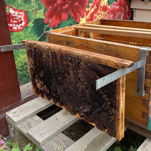 Support de ruche en acier inoxydable NUOBESTY 125 cm stable