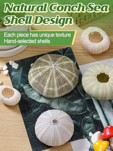 Image of ANPHSIN 5 Pack Mini Sea Urchin Shell Air Plant Holders, 5 Styles, No Plants | Decorative Hanging Air Plant Pot, Tillandsia Succulent Display Container for Home Gardening Gifts Beach Theme Party Decors