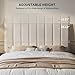 HOMRELEXA Upholstered Headboard Queen Size with 3.1’’ High-Density Sponge Backrest, Modern Striped Head Board Only, 2 Screw Easy Assembly (Beige)