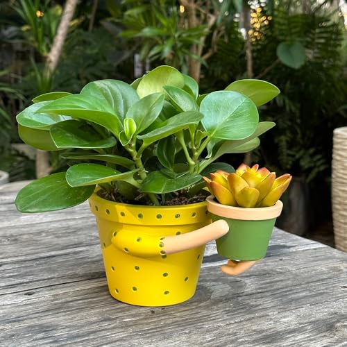 Cute-Indoor-Planter-Succulent-Pots-Mom-Hugging-Baby-Double-Plant-Pots-Decorative-53-Pot-29-Cactus-Pot-with-Drainage-Interior-Outdoor-PlantsUnique-Fun-Gift-PlantersBest-Gifts-Family-Friends
