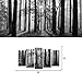 Visual Art Decor Large 5 Pieces Black and White Sunshine Foggy Forest Landscape Canvas Prints Trees Wall Decoration Framed and Stretched Painiting for Living Room Office Artwork