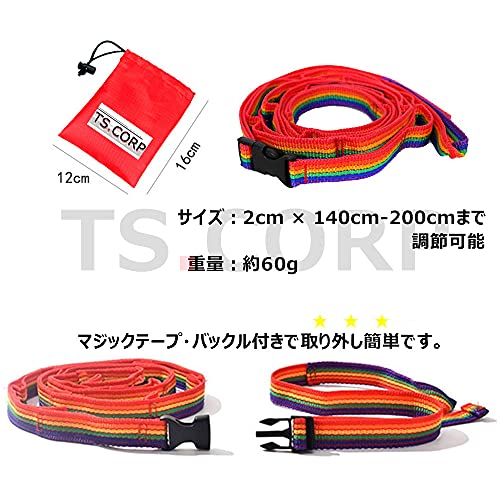 [TS.CORP] レインボー ハンギングチェーン カラビナ 20個付
