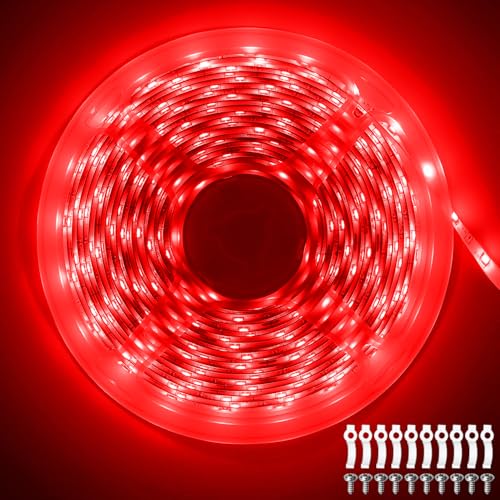 ShineBurky Striscia LED 10 Metri 24V Rosso, Luci LED Striscia Luminoso IP65 Impermeabile 600LEDs Strisce LED Flessibili per Interno Esterno Cucina Hotel Natale Decorazione (Senza Alimentatore)