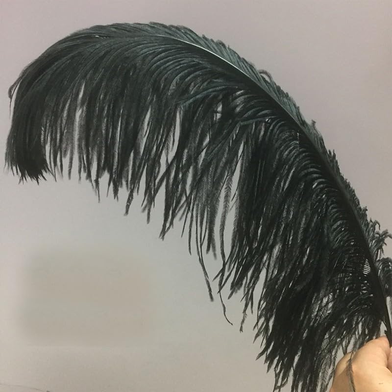 Ostrich Feather Black DIY Large Feather Home Ornaments Decoration Ostrich Feather