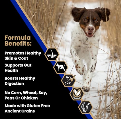 Image of VICTOR Sensitive Skin & Stomach - Beef Meal & Brown Rice Dog Food, 5 lb | Super Premium Dog Food, Gluten Free, No Chicken, Ideal for Dogs with Allergies, Dry Kibble, Adult and Puppy Dog Food, 5lbs