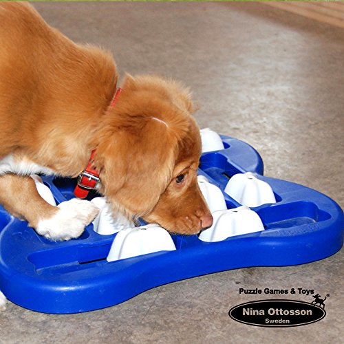 Nina Ottosson Toy Dog Activity Finder