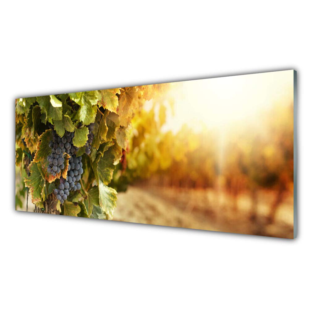 Tableau en verre acrylique 125x50cm nature raisins Tulup