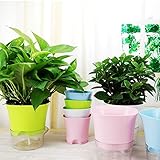 Verwendet mit: Blume / Grünpflanze, Finishing: nicht beschichtet, Modellnummer: 1, Set Typ: Nein, Markenname: Pocketgarden