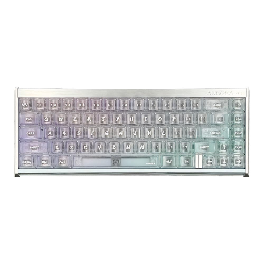 Amazon.co.jp: 【正規代理店品】IPI AURORA65 ラピッドトリガー