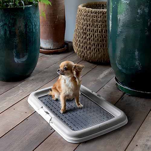 Chalesco Dog Toalete para Cães