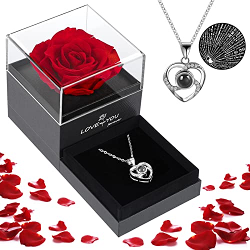 ADEXDO Mothers Day Flowers Gifts for Her, Preserved Real Rose with I Love You Necklace, Gifts for Wife Girlfriend Mom Grandma on Anniversary Birthday, Silver