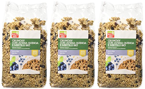 La Finestra sul cielo Crunchy con avena quinoa e mirtilli bio
