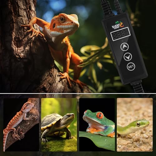 LUCKY HERP Reptilien Thermostat 230V, PID Wärmelampen Temperaturregler mit LED Digitalbildschirm, Terrarien Steckdosen Thermostat für Reptilien Wärmelampen & Heizungen, ℉/℃, Speicherfunktion